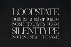 Silver Queen Serif Elegant Typeface for Branding Product Image 4