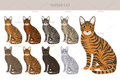 Toyger Cat clipart Product Image 3