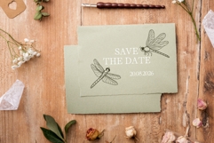 Insects SVG PNG Bundle, Bug Clipart, Garden Insects Line Art Product Image 2