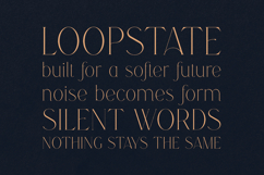 Ruminate Elegant Display Serif Font Product Image 4