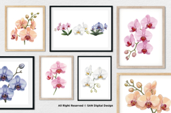 15 Bundle Watercolor Orchids Flower Tropical Exotic Blossom Product Image 4
