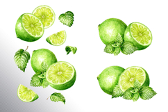 Lime citrus. Watercolor collection Product Image 5