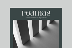 Megha Product Image 4