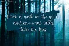 Wyldling Script Product Image 4