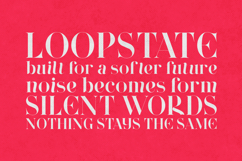 Wonderz Edge Elegant Modern Serif Font Product Image 4