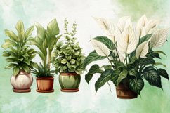 Houseplants Pot Sublimation Bundle, Houseplants in Pot PNG Product Image 5
