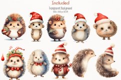 Chrisrtmas hedgehog Watercolor 50 Cliparts Collection Product Image 4