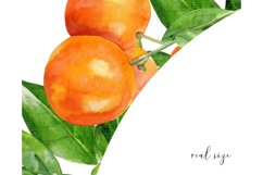 Floral frame clipart | fruit watercolor wreath #w142 Product Image 5