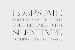 Consumer Type - Bold Serif Headline Product Image 4