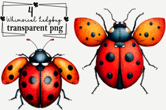 Whimsical Ladybug Clipart Watercolor PNG Product Image 1