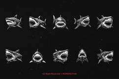 10 Bundle Dark Art Megalodon Fish Shark Ancient Animal Skull Product Image 6