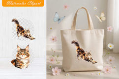 Watercolor Maine Coon Cat PNG - Fluffy Kitten Clipart Product Image 1