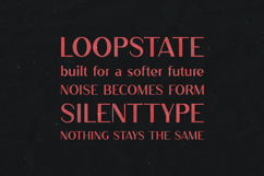 Ludic Modern Display Sans Serif Font Product Image 4