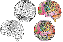 Decorative skulls and brains for coloring pages Product Image 7