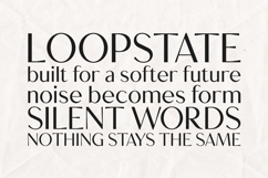 Creators Type Modern Serif Display Font Product Image 4