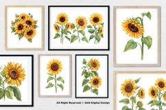 15 Bundle Watercolor Sun Flower Rose Flower Floral Botanical Product Image 4