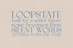 Gleed Elegant Modern Serif Font Product Image 4