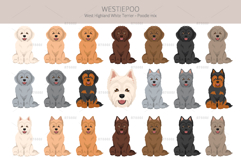Westiepoo dog Product Image 3
