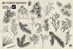 Forest Botany Procreate stamp brushes Product Image 4