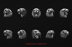 10 Bundle Dark Art Sea Lion Ocean Animal safari Angry Horror Product Image 6