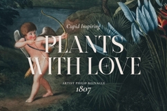 Burnt Anchor - Romantic Serif Product Image 4