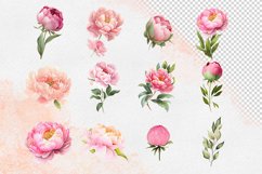 Watercolor Pink Peony Clipart Product Image 4