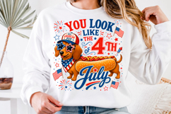 4th of July Dachshund PNG Product Image 1