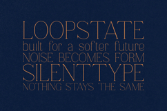 Marka Elegant Modern Serif Font Product Image 4