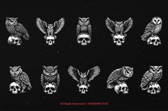 10 Bundle Dark Art Owl Bird Skull Nocturnal Animal Horror Product Image 6