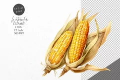 Thanksgiving clipart, Corn clipart, Autumn clipart Product Image 1