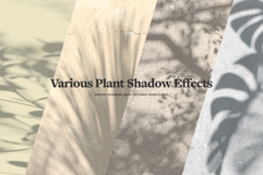 Shadow Backdrops Videos Collection Product Image 4