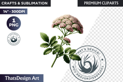 Medicinal Herbs clipart PNG, Apothecary Botanical Graphic Product Image 1