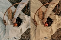 30 Fall Fantasy Video LUTs Product Image 4
