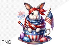 4th Of July Bunny Sublimation Clipart PNG Design Product Image 1