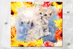 Cats &amp; flowers | skinny tumbler sublimation design bundle Product Image 4