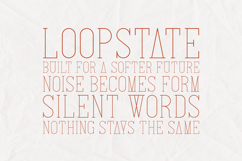 Italian Modern Fashion Display Serif Product Image 4