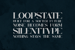 Orphic Serif Font Elegant Organic Modern Product Image 4