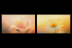 Abstract Blooming Floral Blur Backgrounds Product Image 4