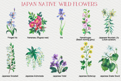 Japan native wild flowers watercolor Product Image 3