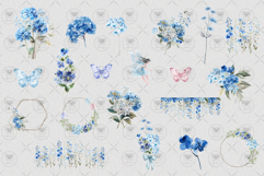 Hortensia Watercolor Clipart Product Image 3