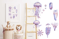 Watercolor Jellyfish Life Cycle Set Bundle Product Image 4