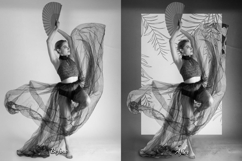 51 Leafage Frame Shade Overlays Product Image 4