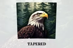 3D Eagle Tumbler Wrap | 3D Patriotic Tumbler Wrap Product Image 3