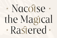 Le Saint Clair - Beauty Nostalgic Retro Serif Font Product Image 4