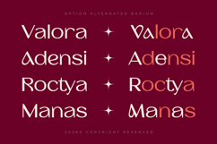 Barium - Luxury Elegant Beauty Sans Serif Product Image 4