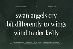 Twoswash - Beauty Elegant Ligature Serif Product Image 4