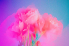 Abstract Faded Flowers Textures Product Image 4