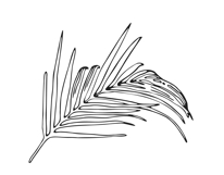 Palm Leaves svg, Botanical png Product Image 9