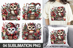 Christmas Owl Sublimation Clipart, 04 PNG Designs Product Image 1
