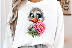 Sarcastic Chickens And Ducks Clipart Product Image 3